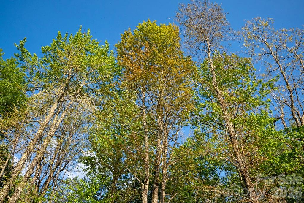 Lot 27 Eastatoe Gap Road Rosman NC 28772