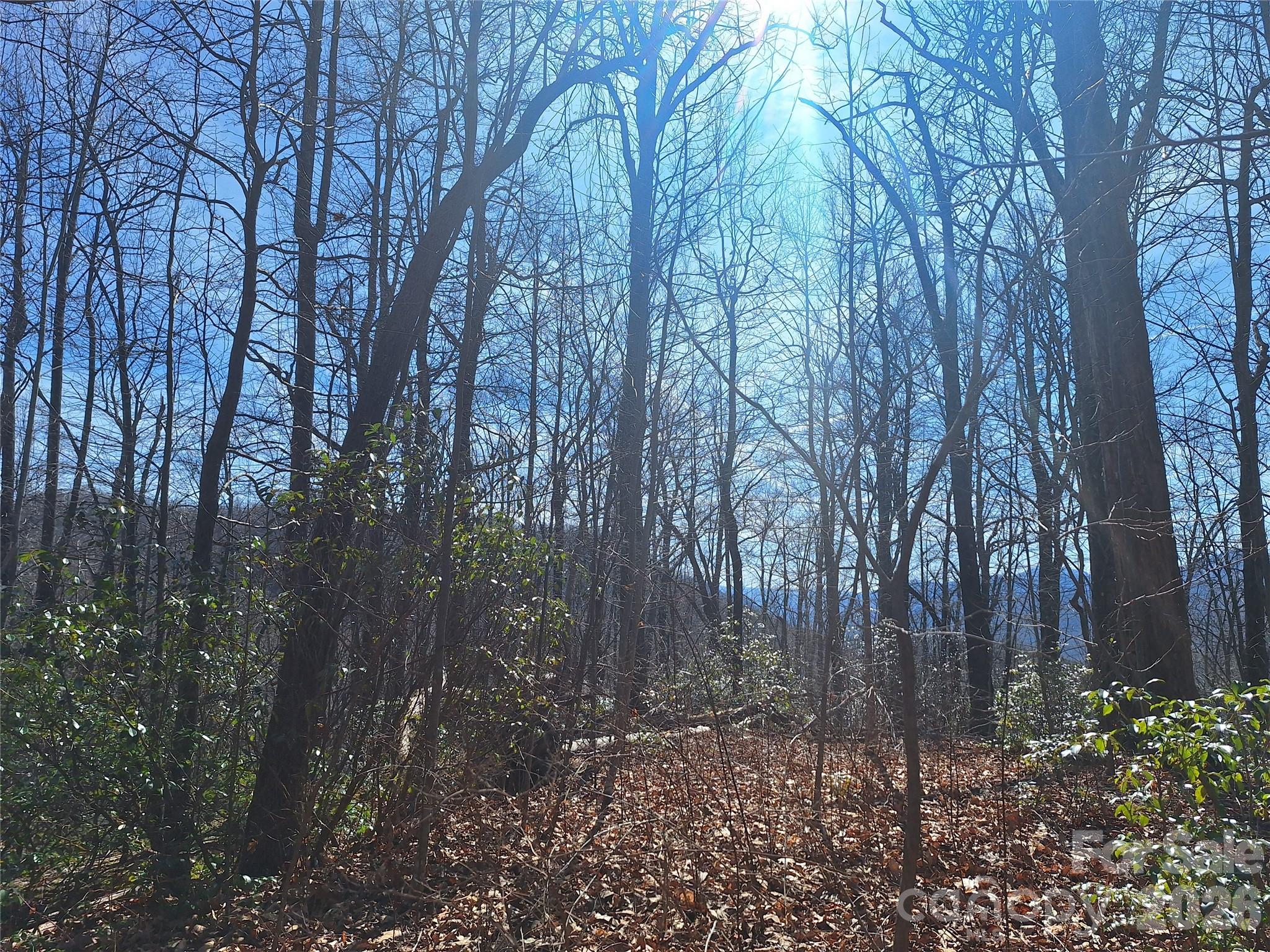 965 Wolf Pen Road Old Fort NC 28762