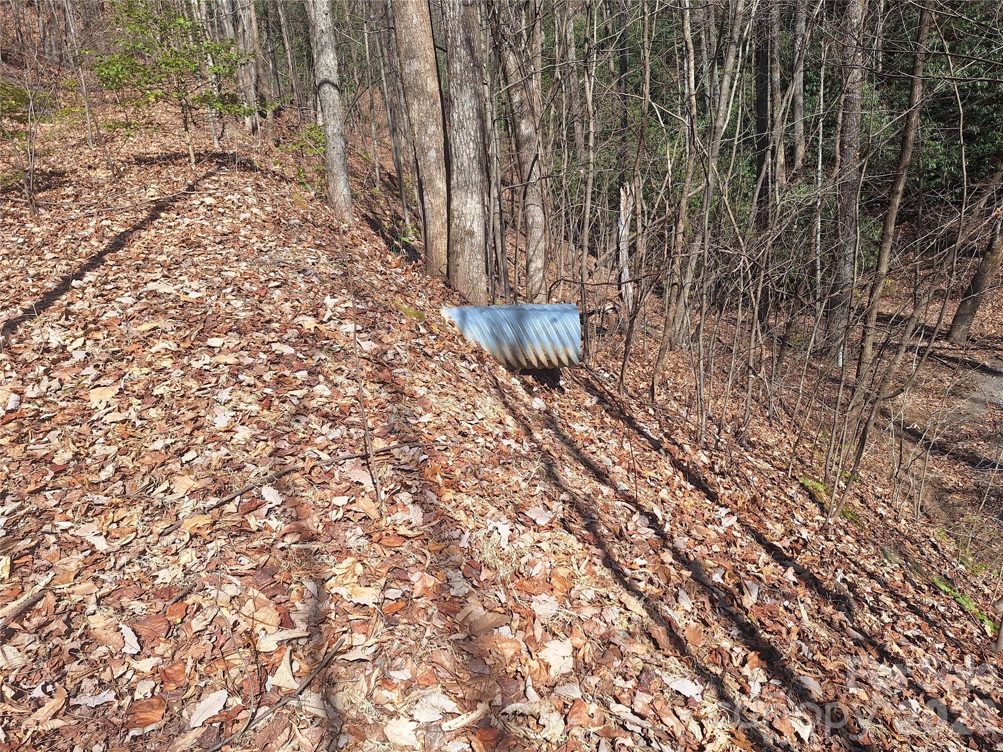 965 Wolf Pen Road Old Fort NC 28762