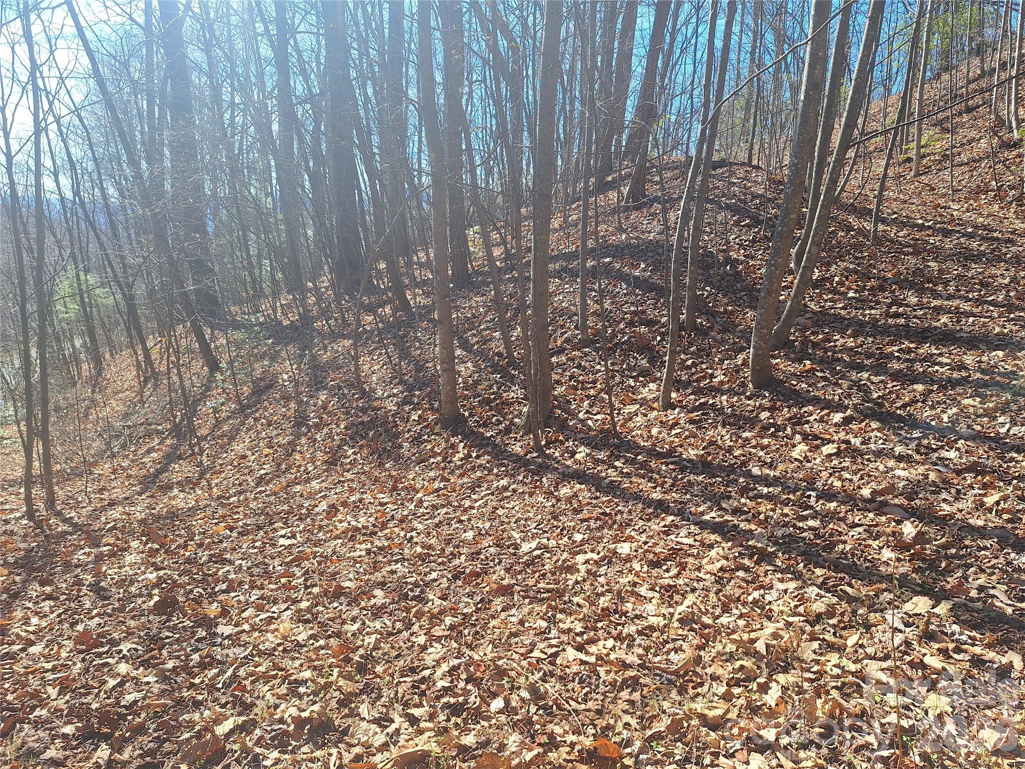 965 Wolf Pen Road Old Fort NC 28762