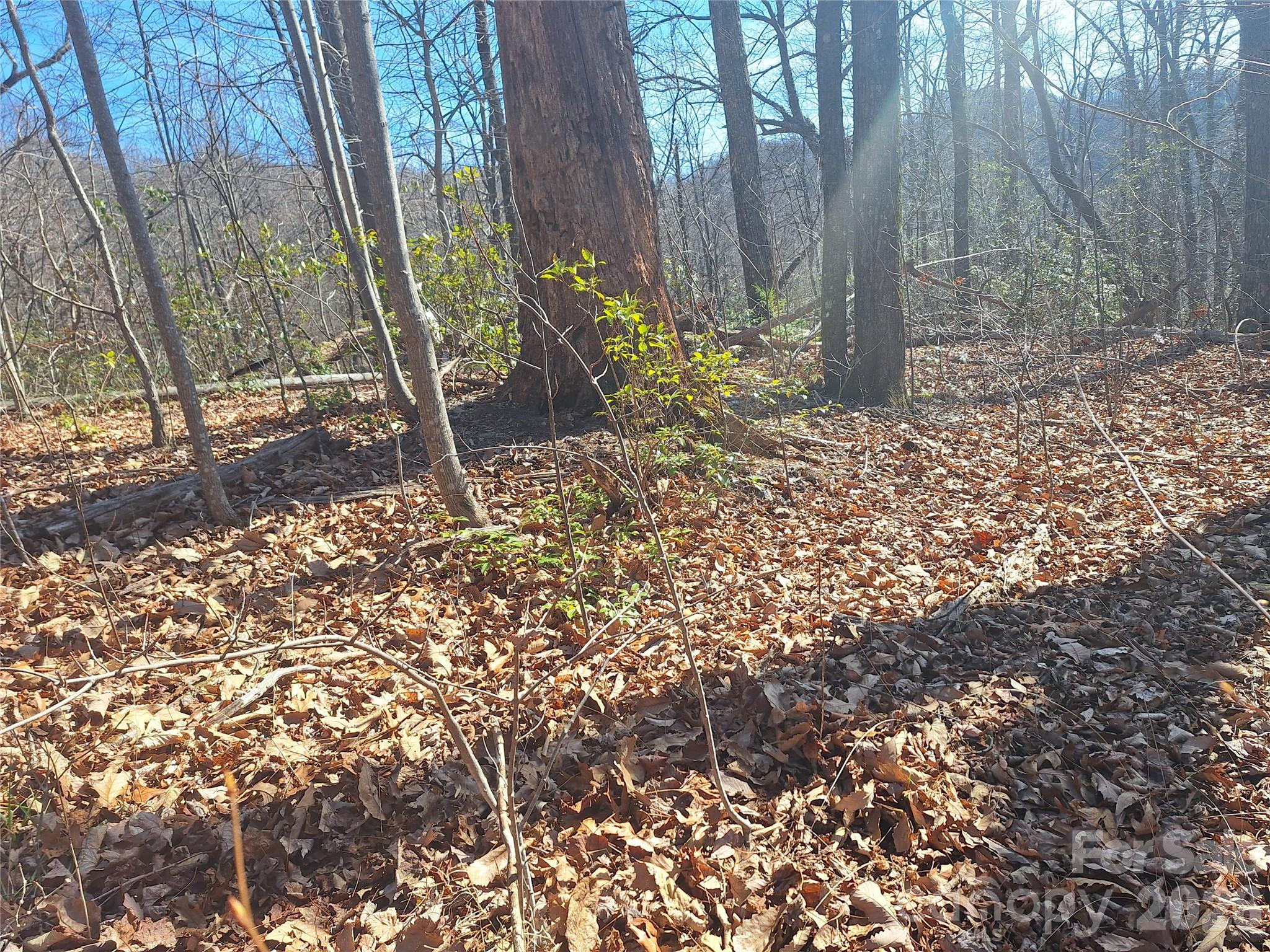 965 Wolf Pen Road Old Fort NC 28762