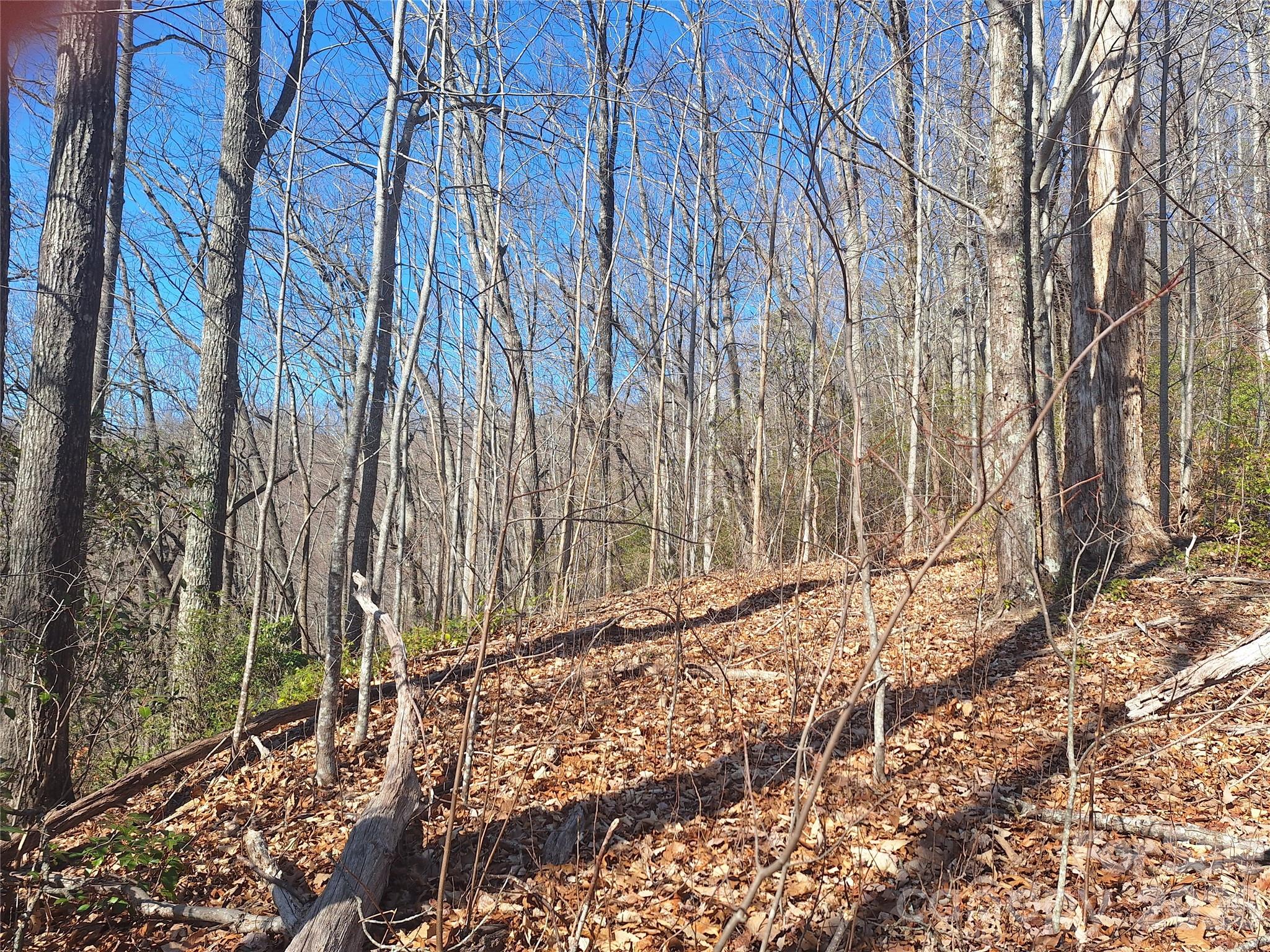 965 Wolf Pen Road Old Fort NC 28762