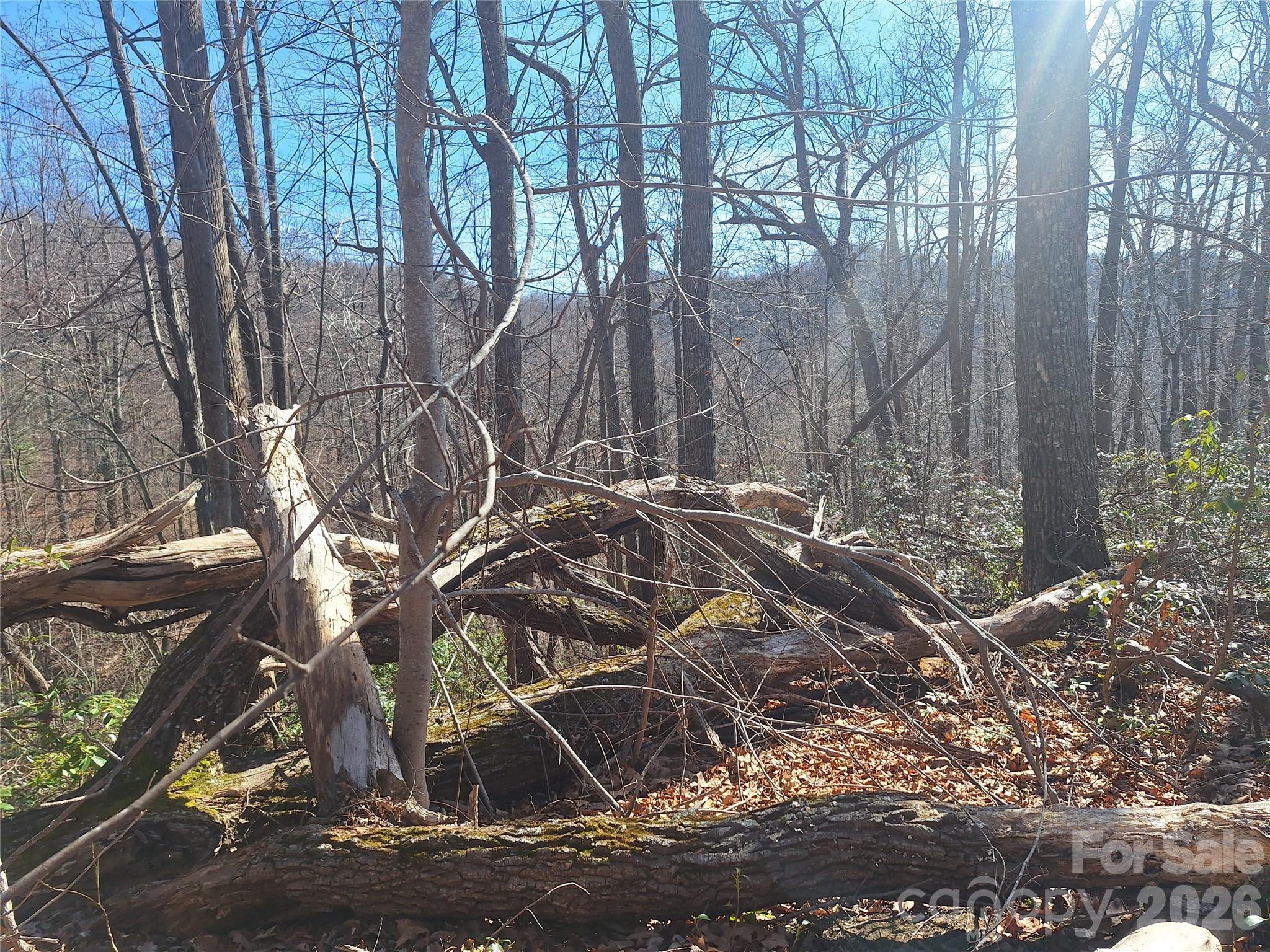965 Wolf Pen Road Old Fort NC 28762