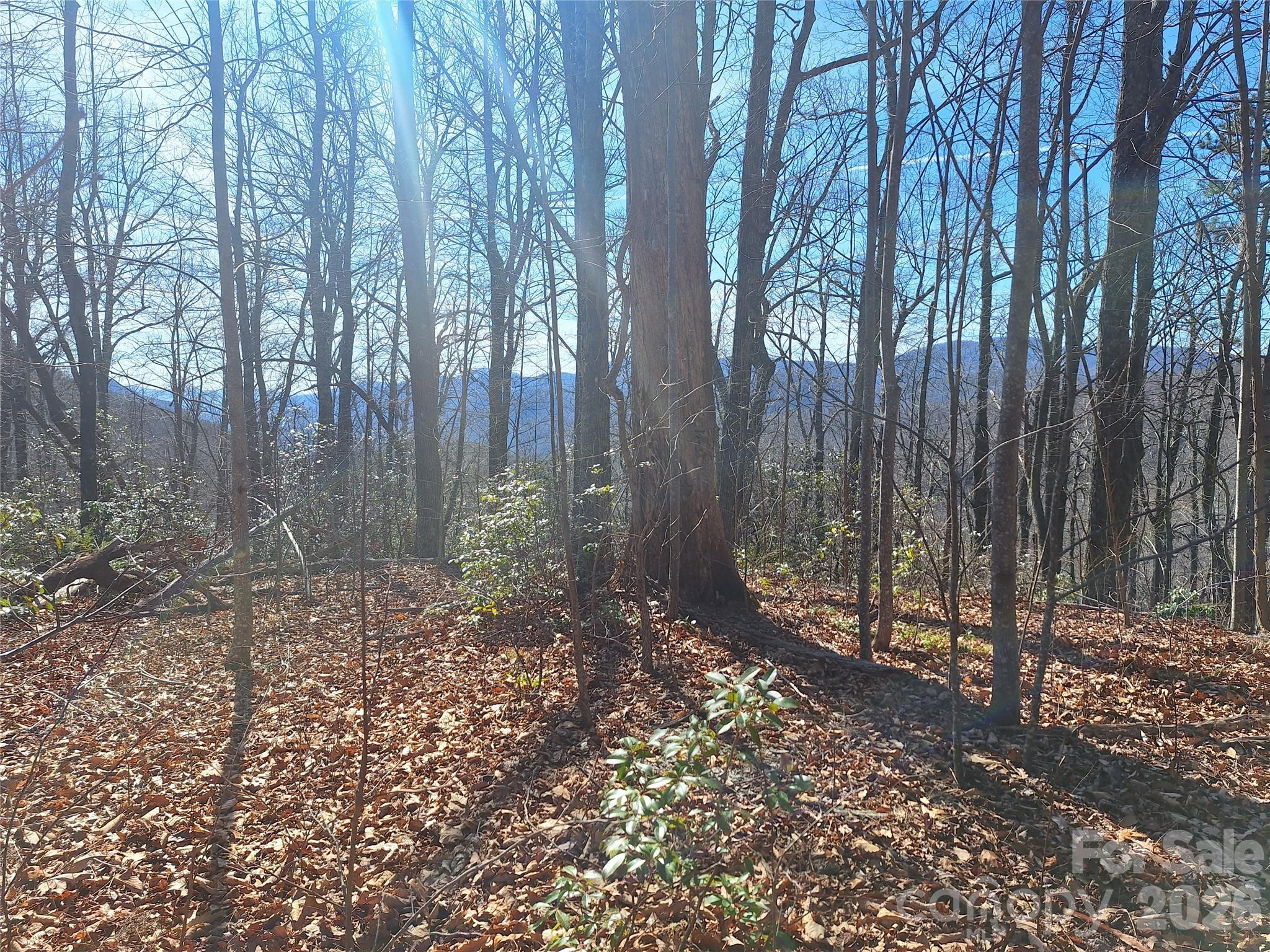 965 Wolf Pen Road Old Fort NC 28762