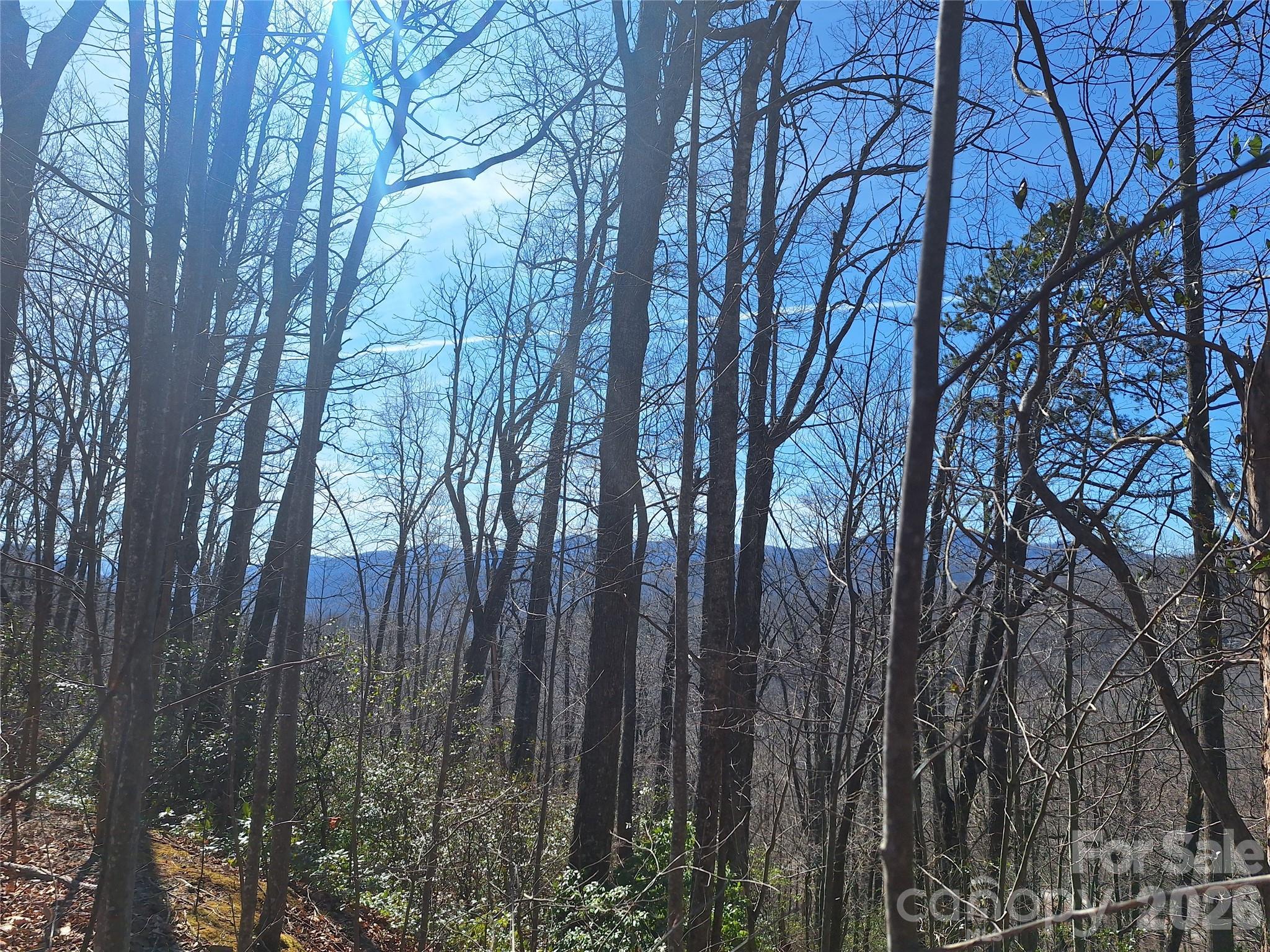 965 Wolf Pen Road Old Fort NC 28762