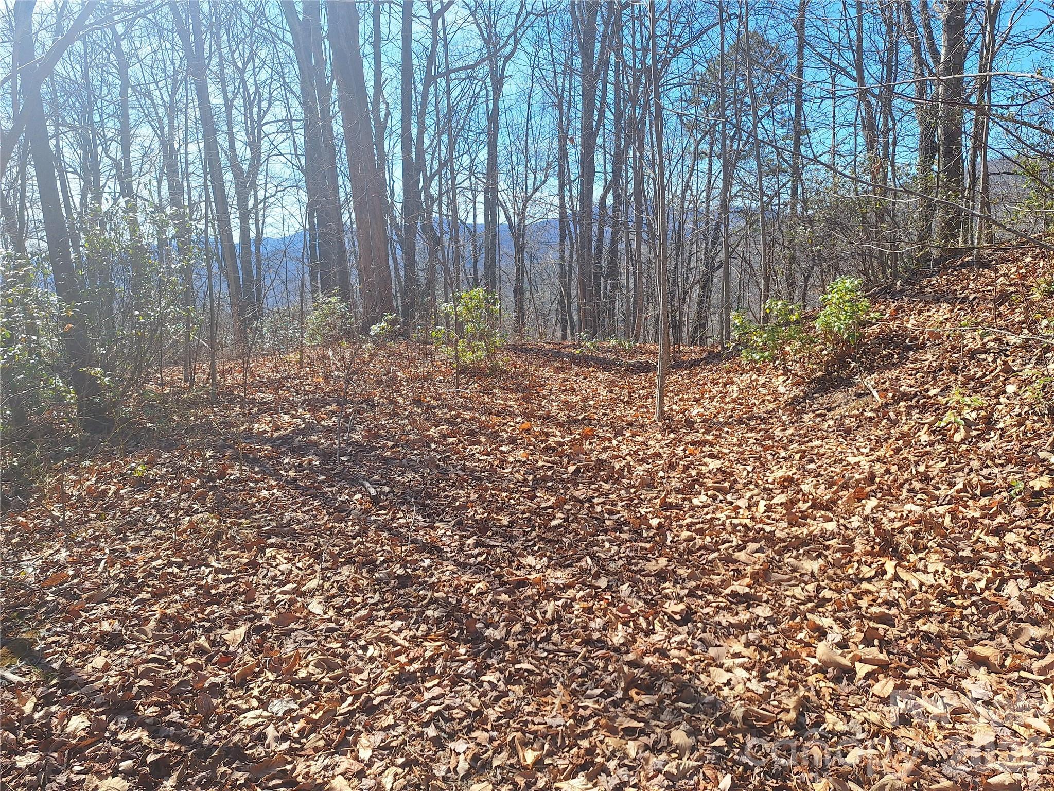 965 Wolf Pen Road Old Fort NC 28762