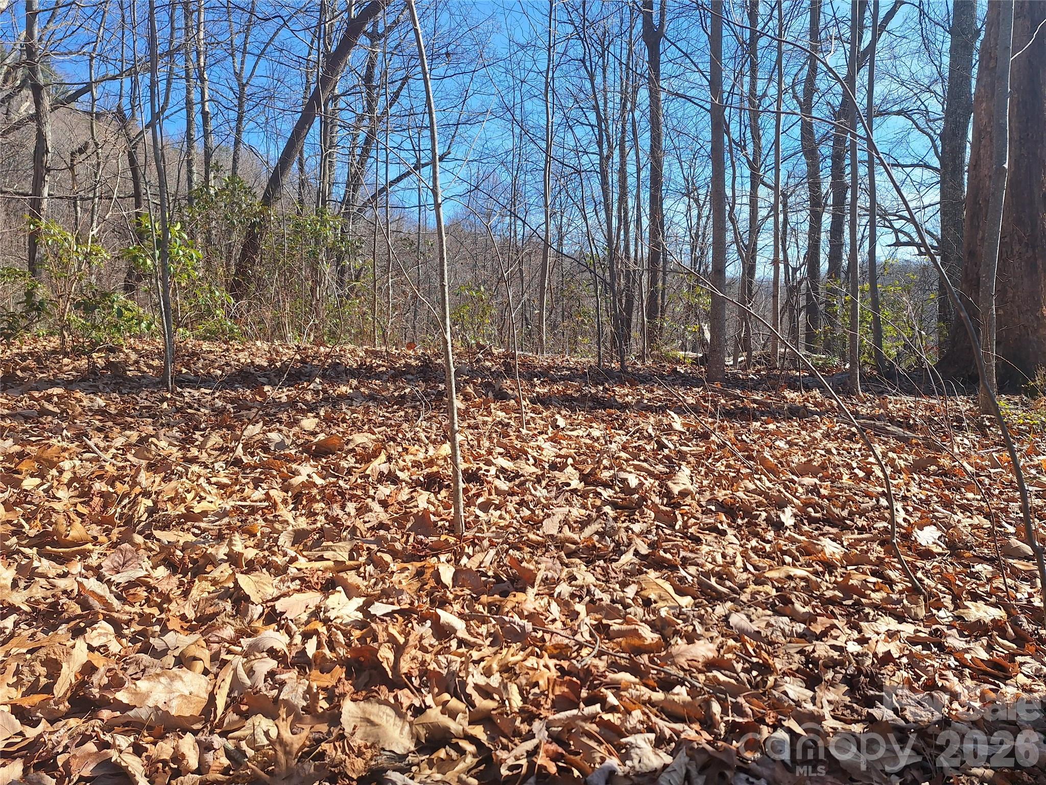 965 Wolf Pen Road Old Fort NC 28762