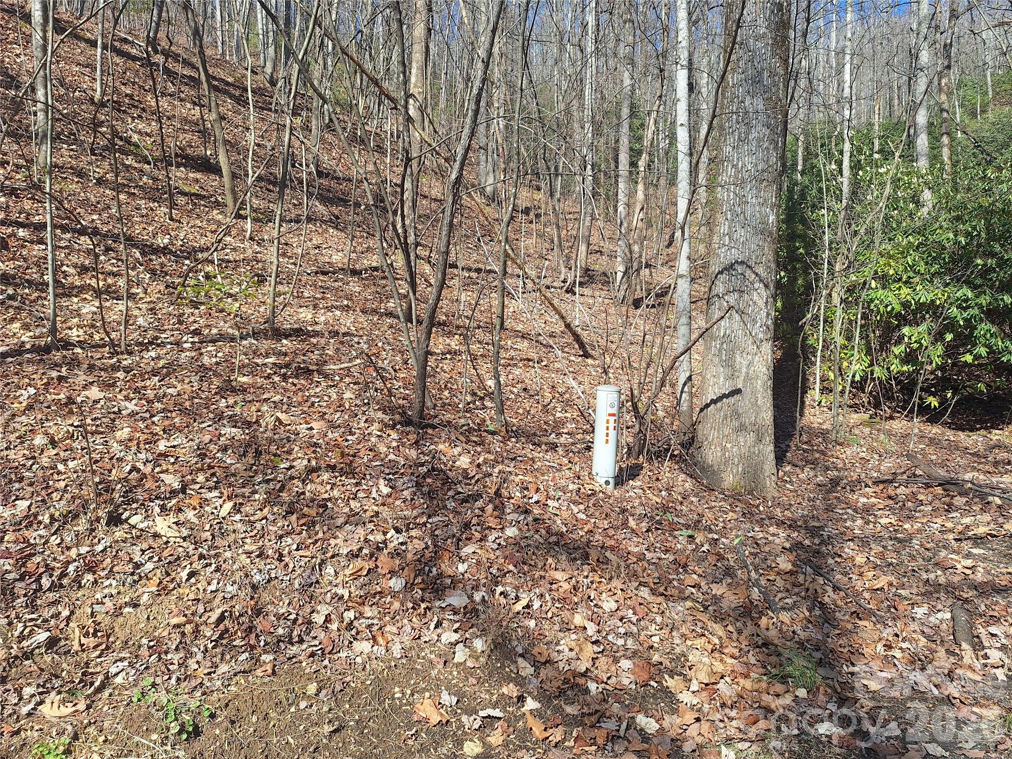965 Wolf Pen Road Old Fort NC 28762