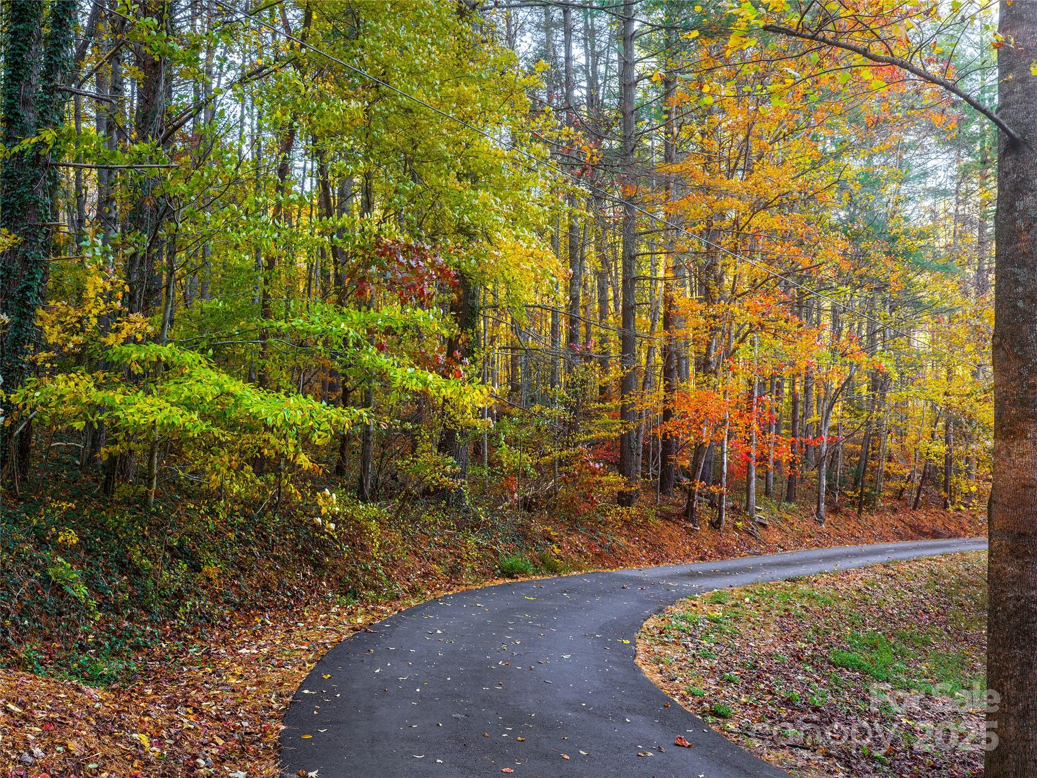 51 Rice Branch Road Asheville NC 28804