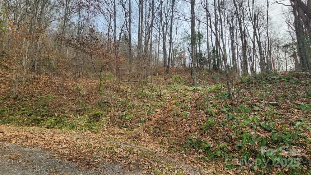 00 Satinwood Drive Waynesville NC 28785