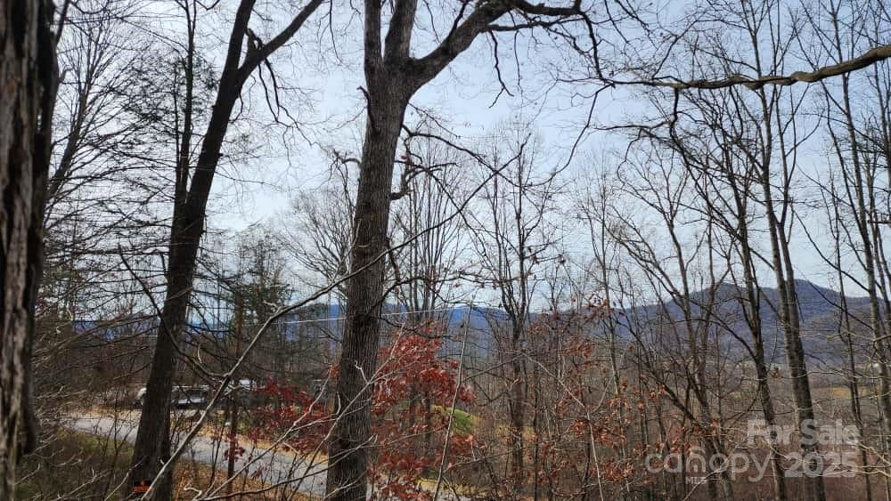 00 Satinwood Drive Waynesville NC 28785