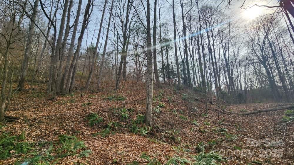 00 Satinwood Drive Waynesville NC 28785