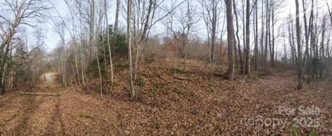 00 Satinwood Drive Waynesville NC 28785