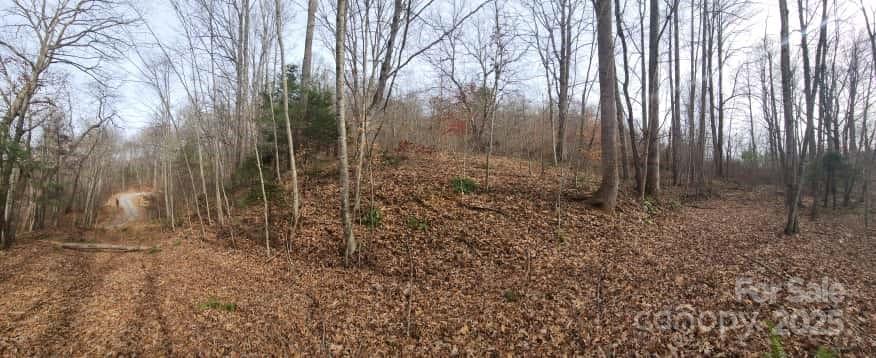 00 Satinwood Drive Waynesville NC 28785