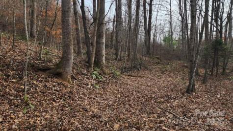 00 Satinwood Drive Waynesville NC 28785