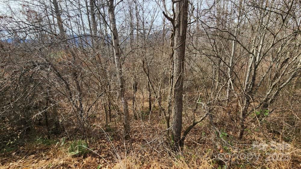00 Satinwood Drive Waynesville NC 28785