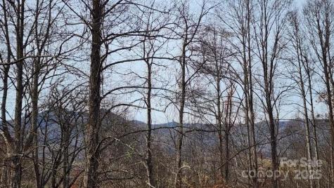 00 Satinwood Drive Waynesville NC 28785