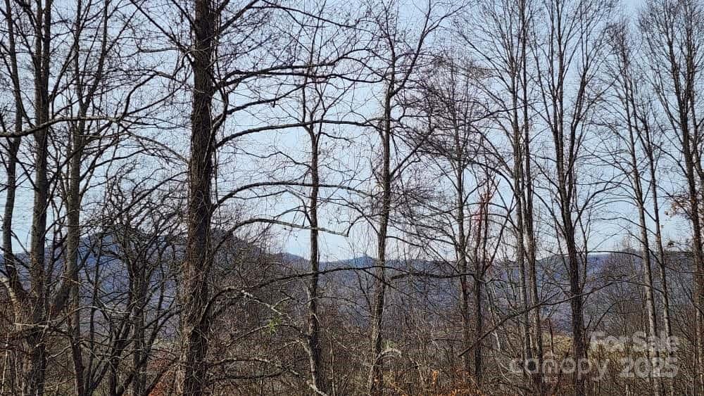 00 Satinwood Drive Waynesville NC 28785