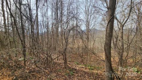 00 Satinwood Drive Waynesville NC 28785