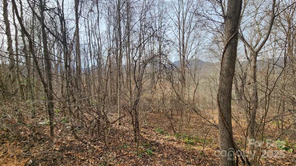 00 Satinwood Drive Waynesville NC 28785