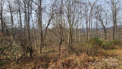 00 Satinwood Drive Waynesville NC 28785