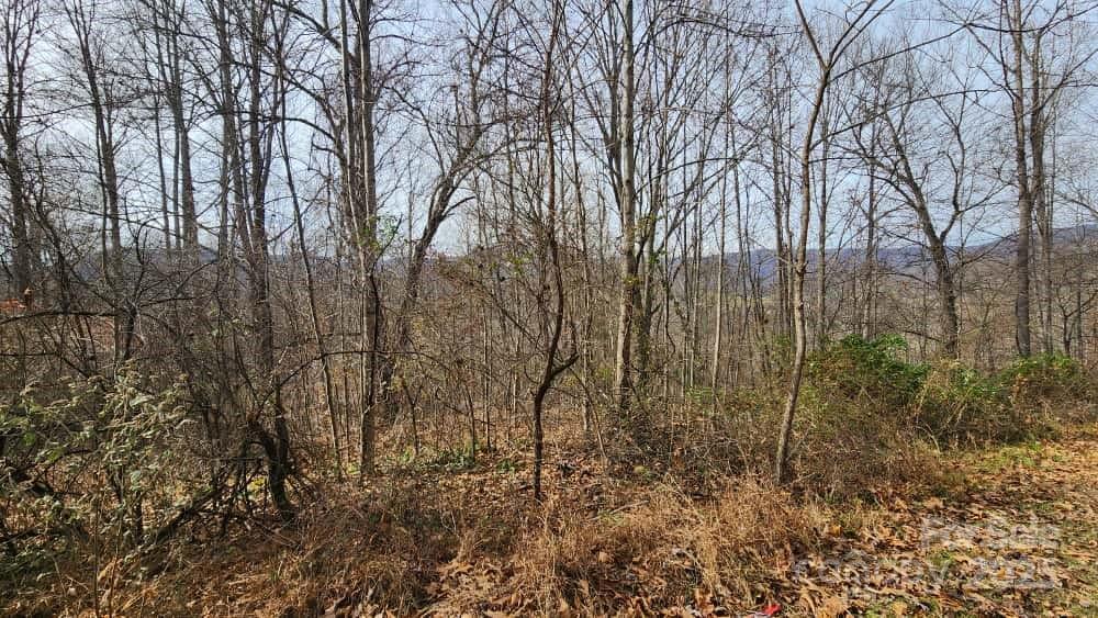 00 Satinwood Drive Waynesville NC 28785