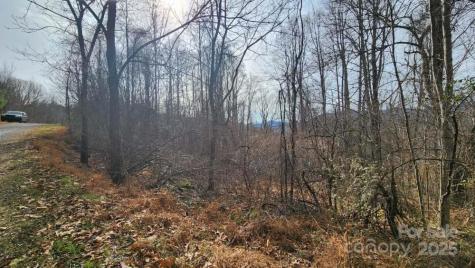 00 Satinwood Drive Waynesville NC 28785