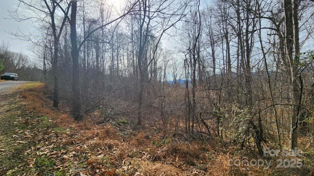 00 Satinwood Drive Waynesville NC 28785