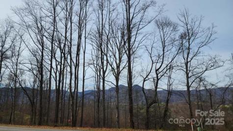 00 Satinwood Drive Waynesville NC 28785