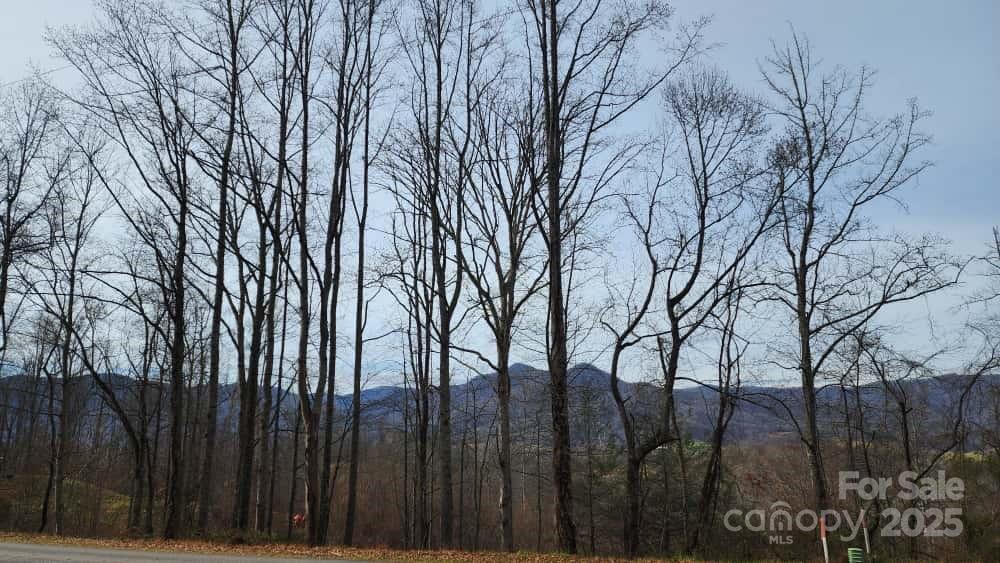 00 Satinwood Drive Waynesville NC 28785
