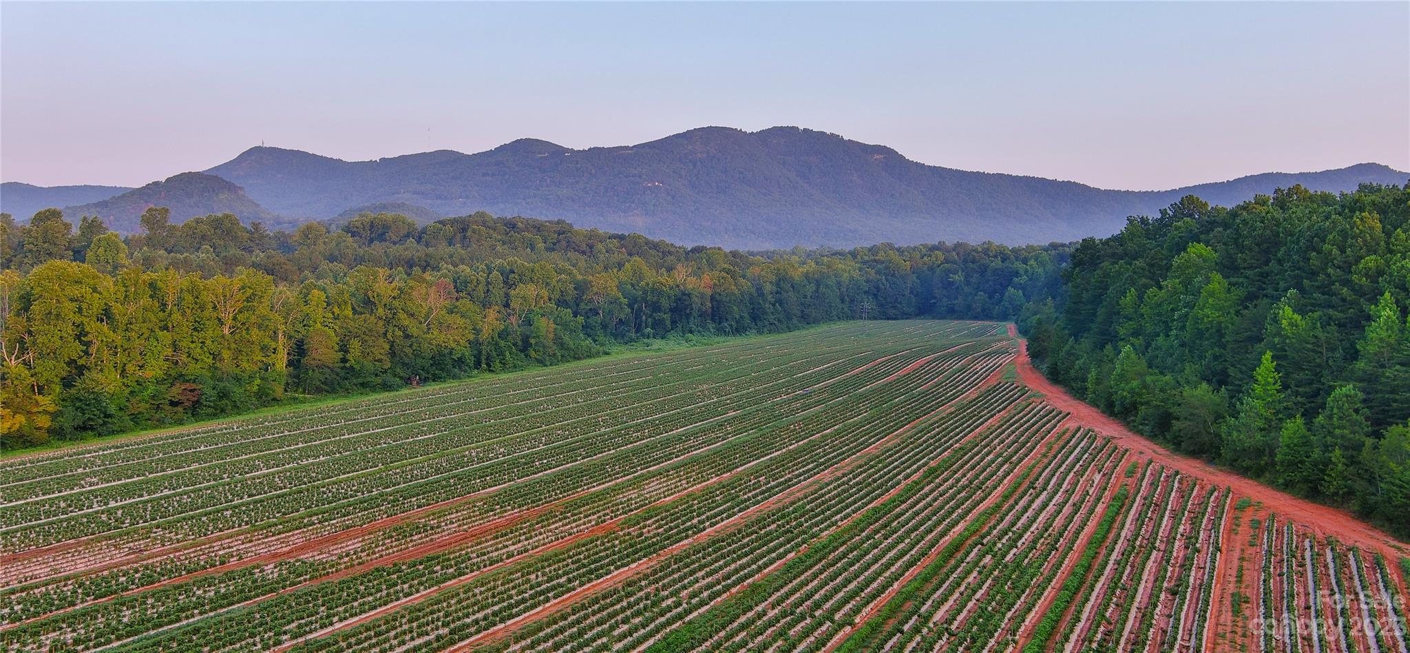 0 Fox Mountain Road Columbus NC 28722