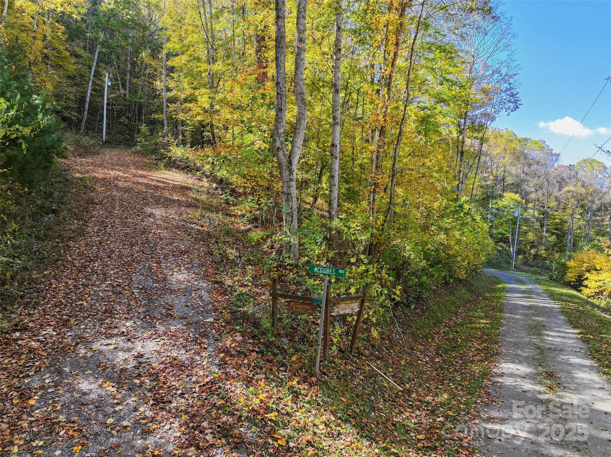 Lot 316 Mcguires Ridge Waynesville NC 28786