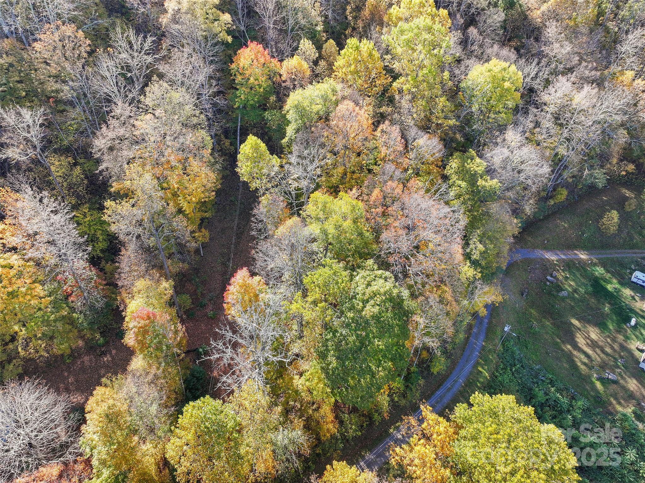 Lot 316 Mcguires Ridge Waynesville NC 28786
