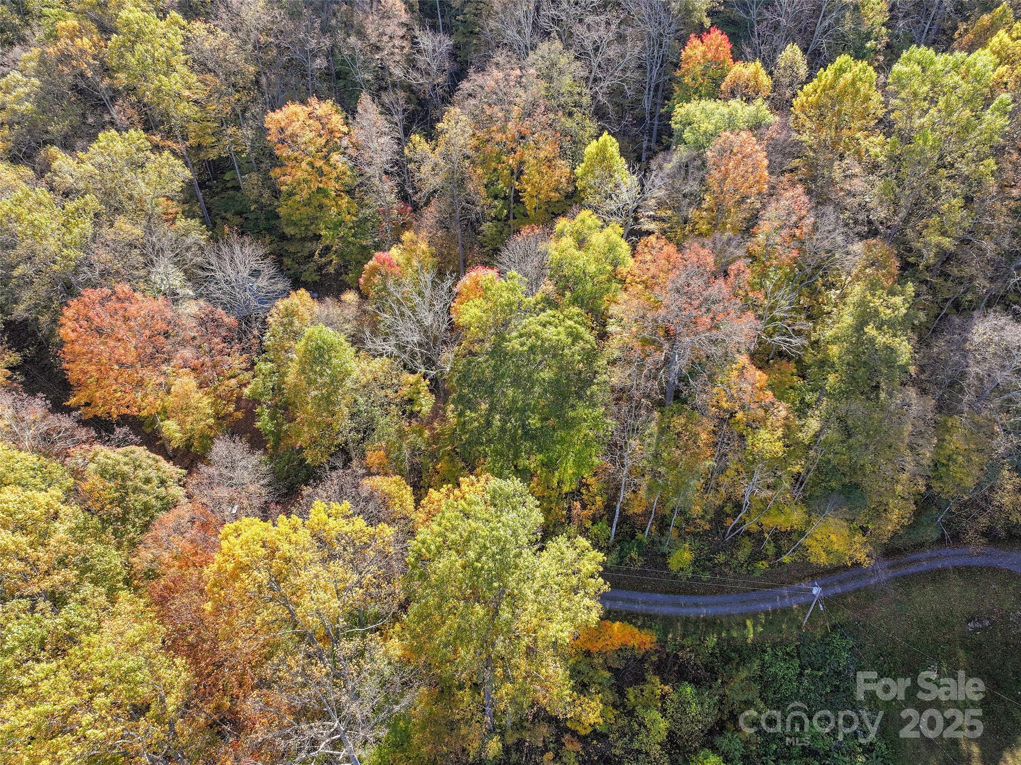 Lot 316 Mcguires Ridge Waynesville NC 28786