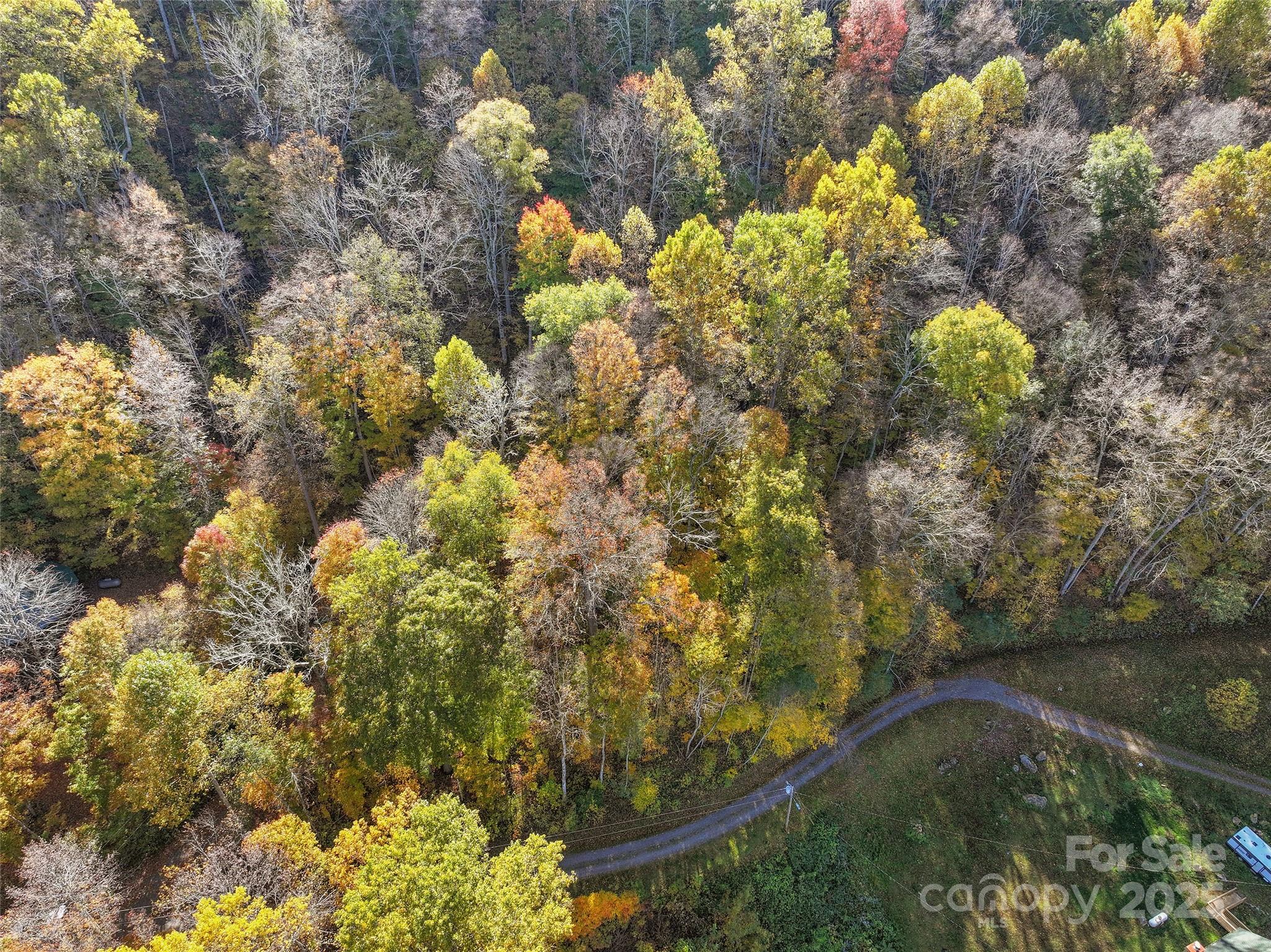 Lot 316 Mcguires Ridge Waynesville NC 28786