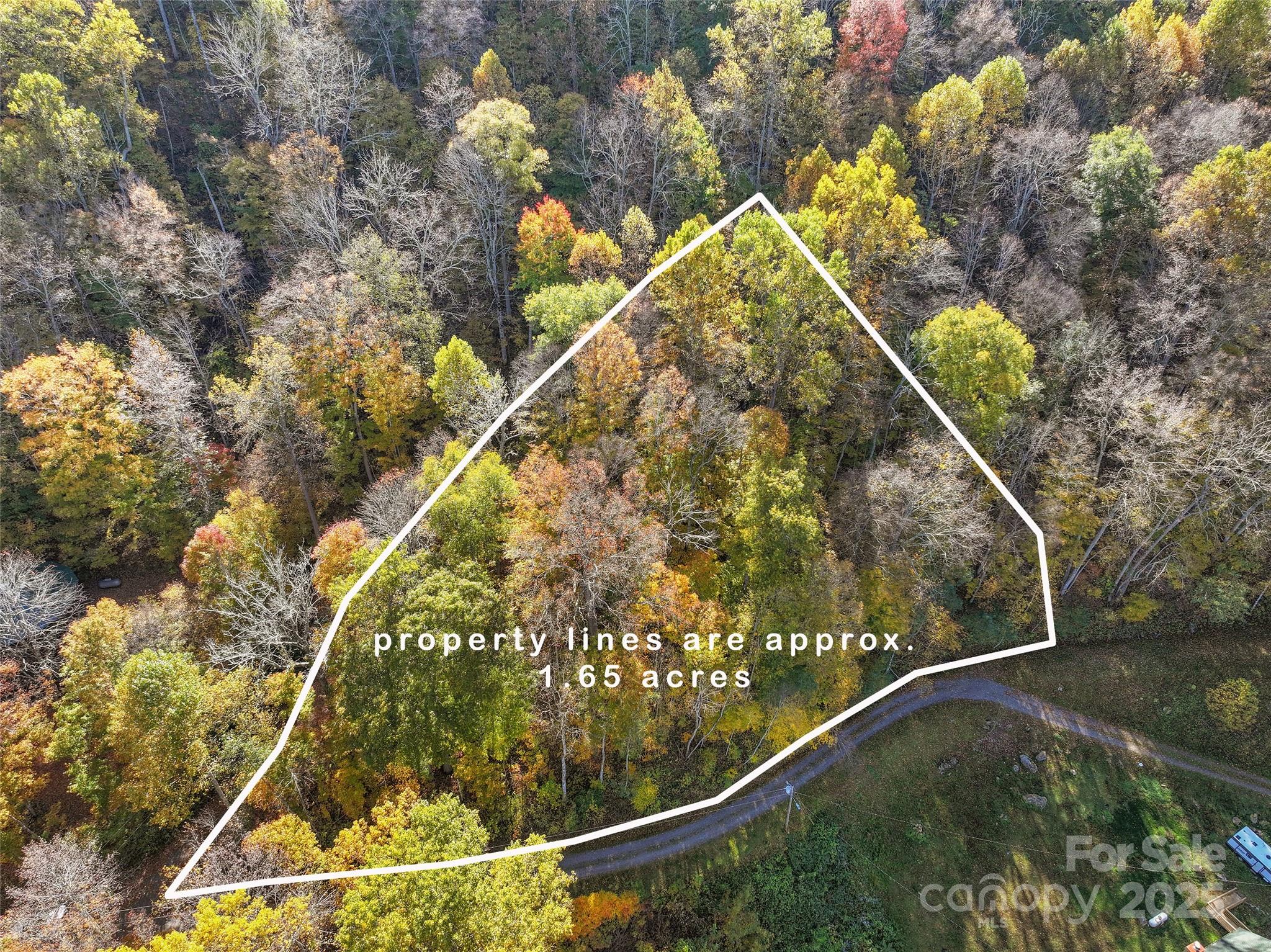 Lot 316 Mcguires Ridge Waynesville NC 28786