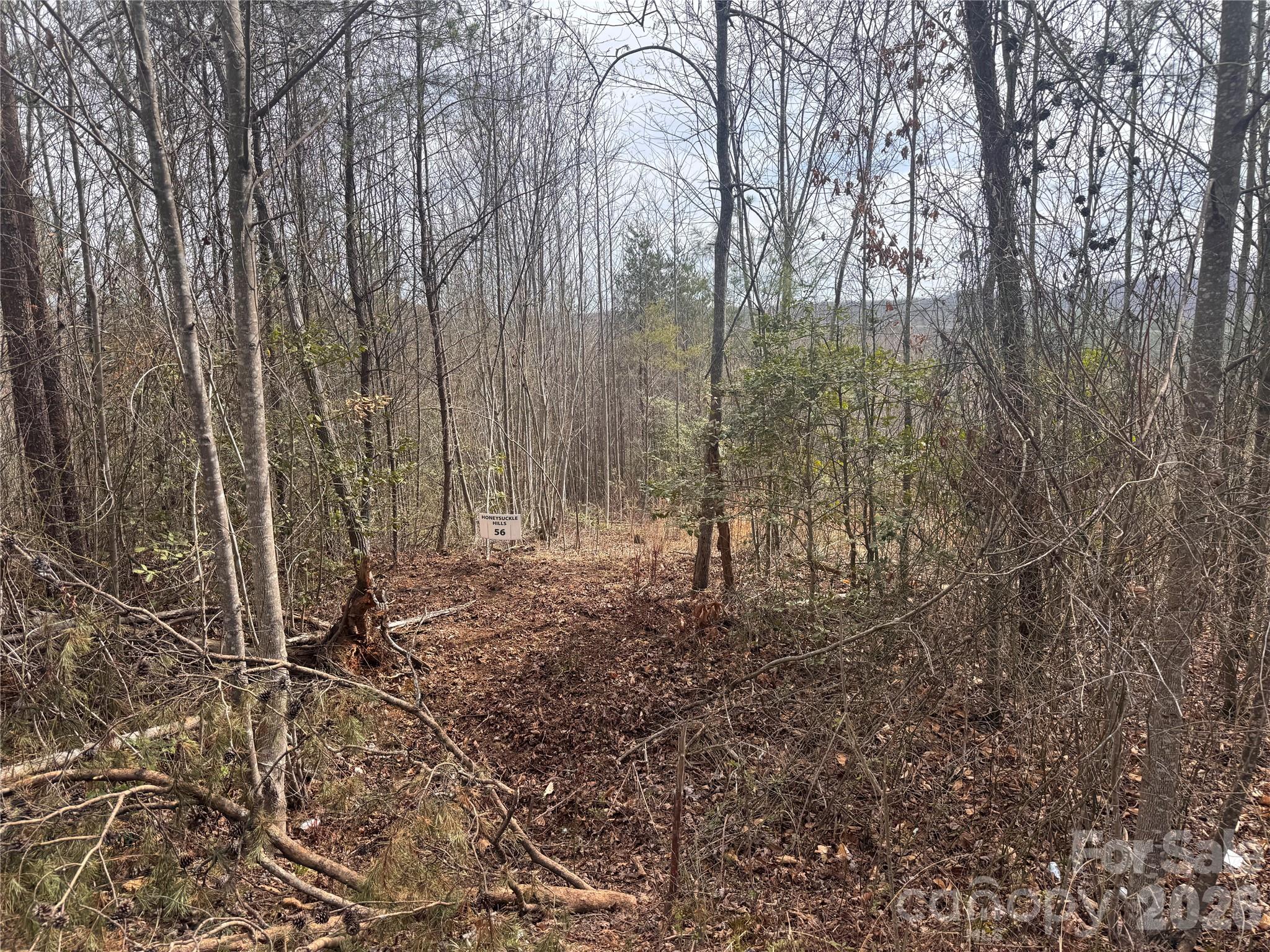 00 Billings Hill Church Road Traphill NC 28685