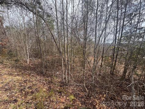 00 Billings Hill Church Road Traphill NC 28685