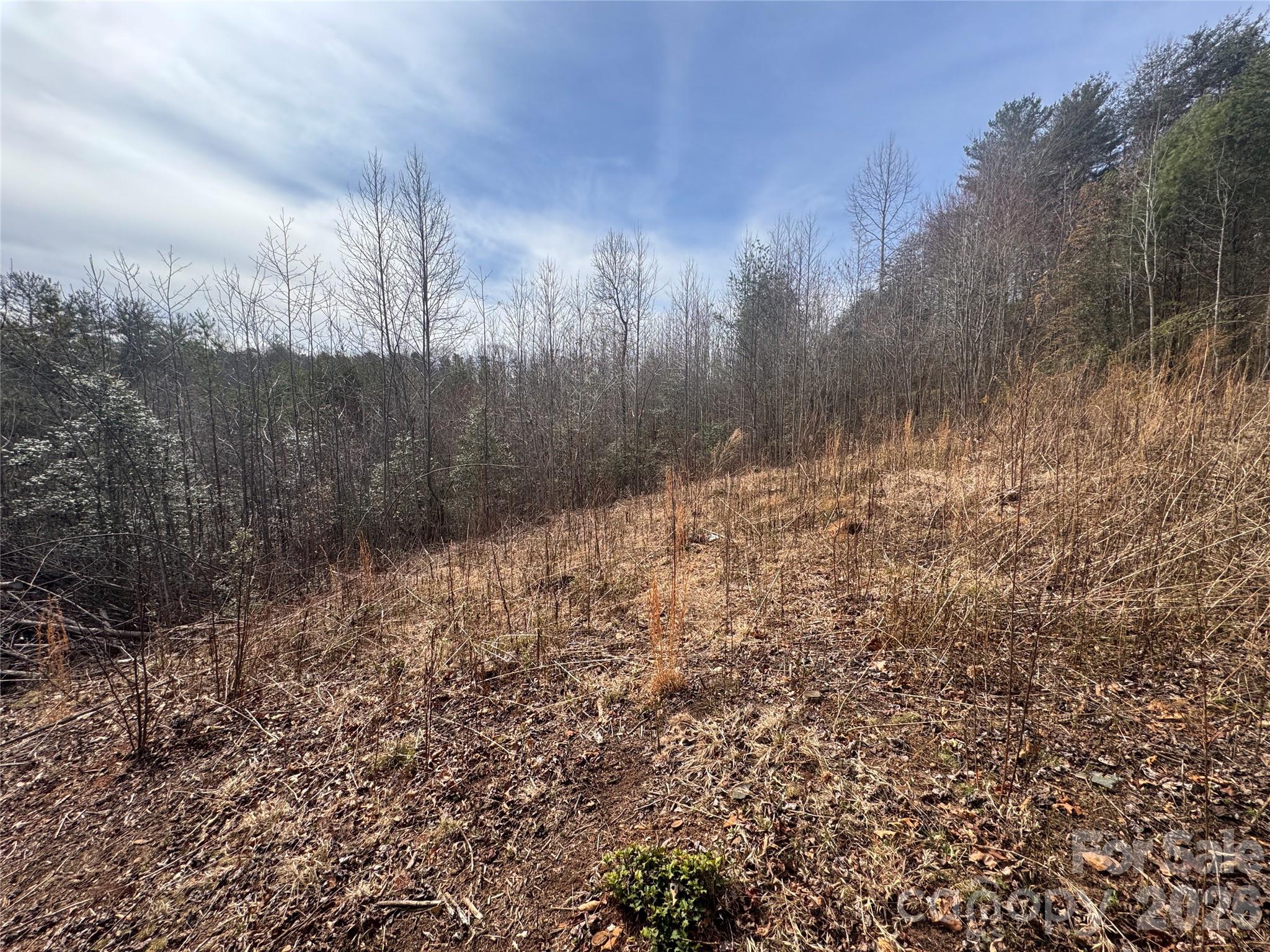 00 Billings Hill Church Road Traphill NC 28685