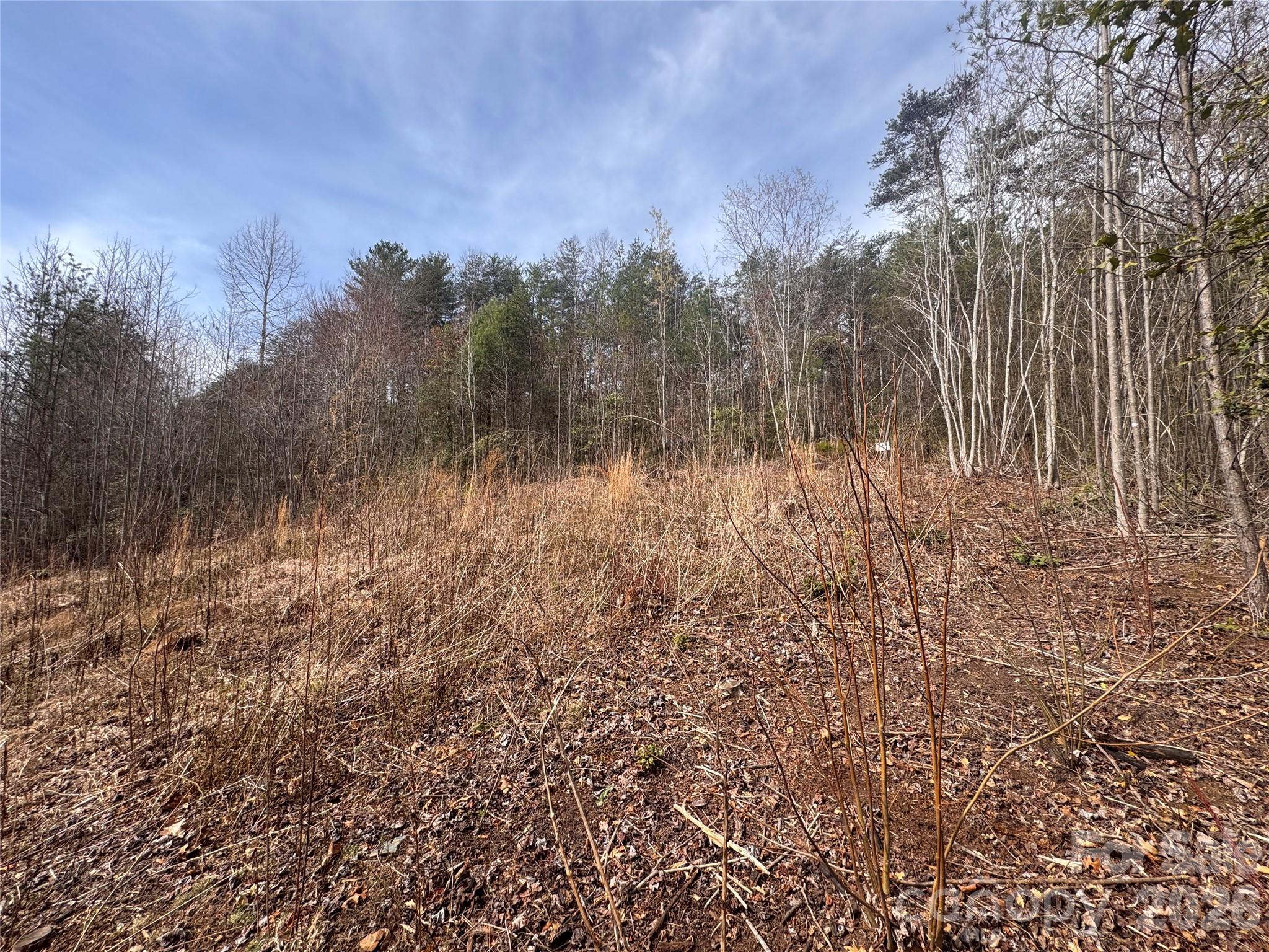 00 Billings Hill Church Road Traphill NC 28685