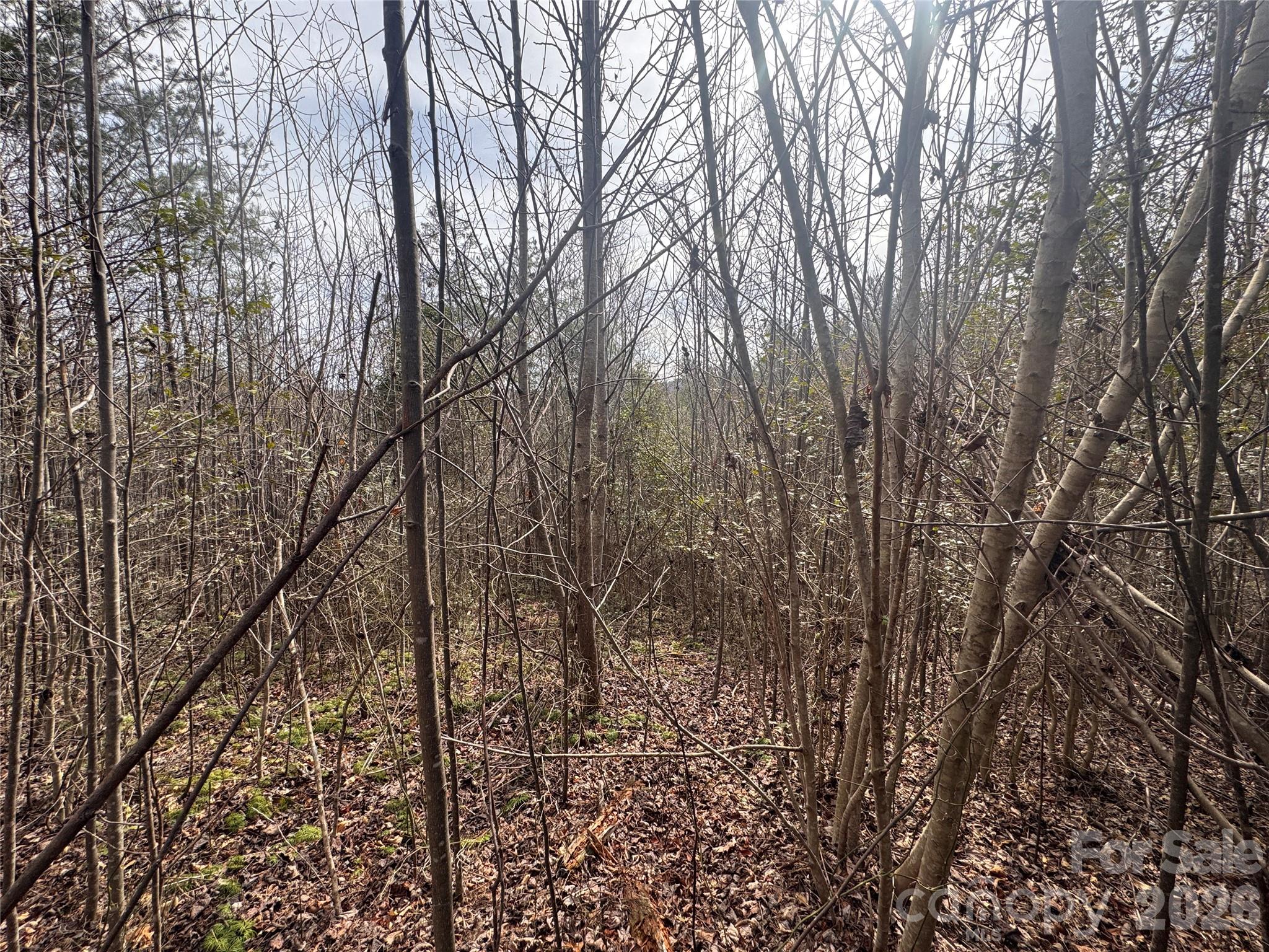 00 Billings Hill Church Road Traphill NC 28685