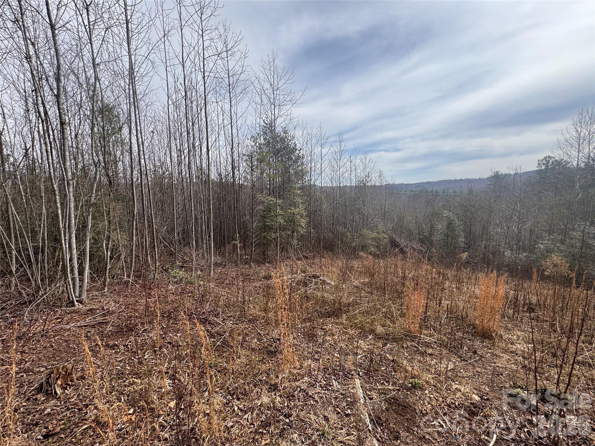 00 Billings Hill Church Road Traphill NC 28685