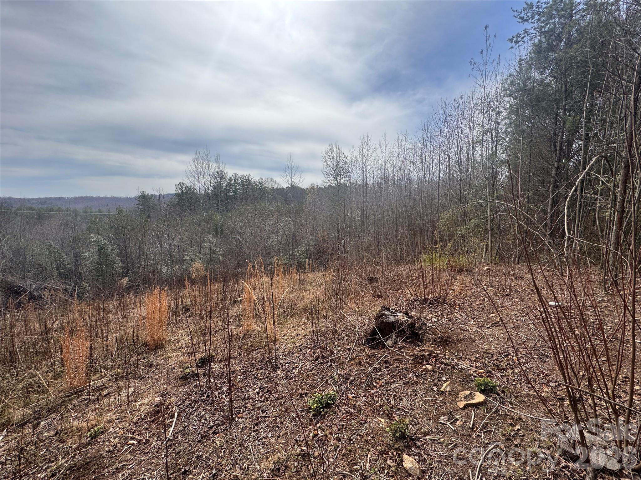 00 Billings Hill Church Road Traphill NC 28685