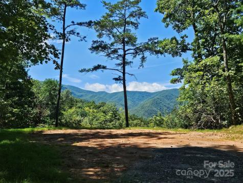 0 Blue Vista Road Canton NC 28716