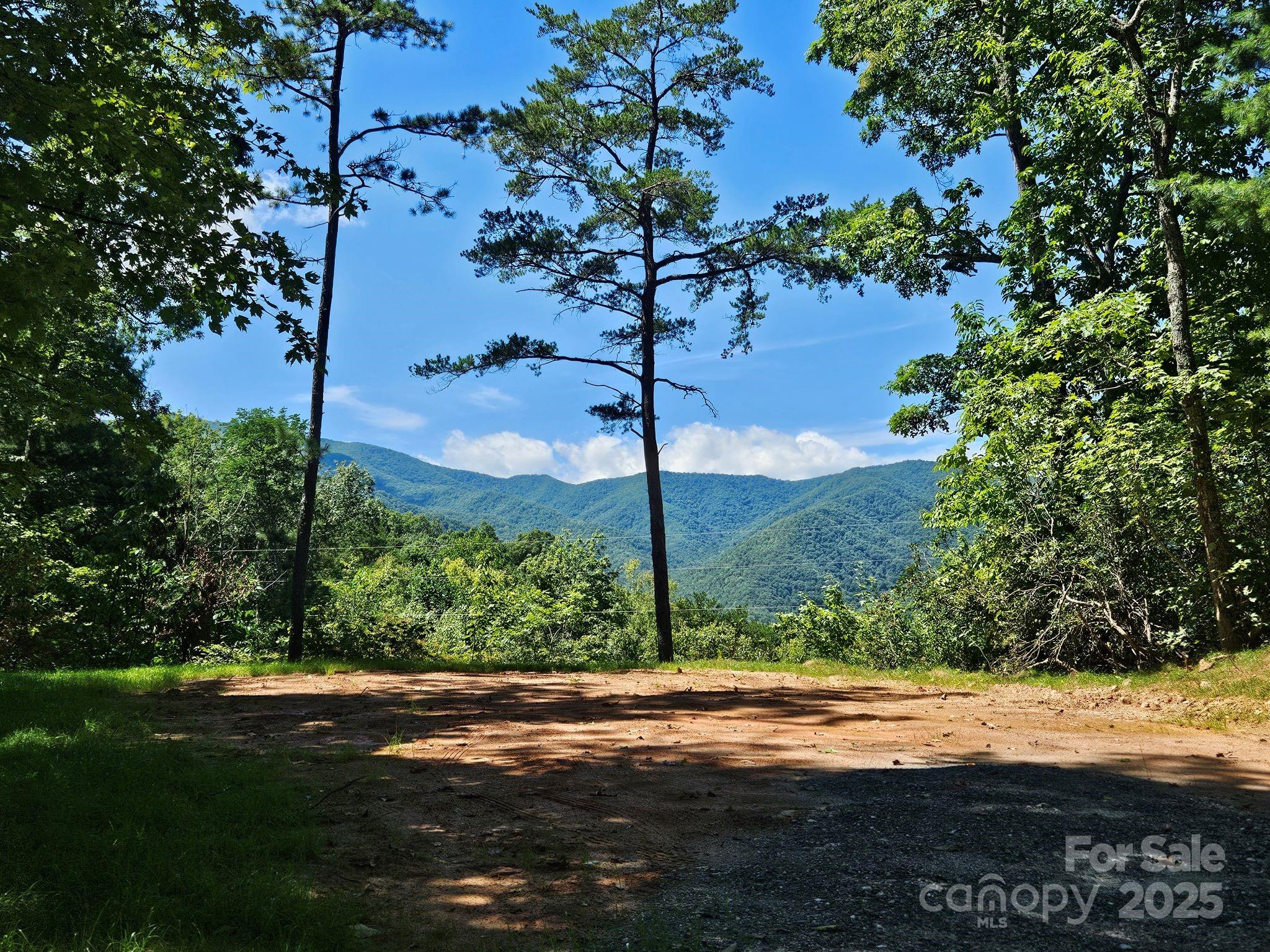 0 Blue Vista Road Canton NC 28716