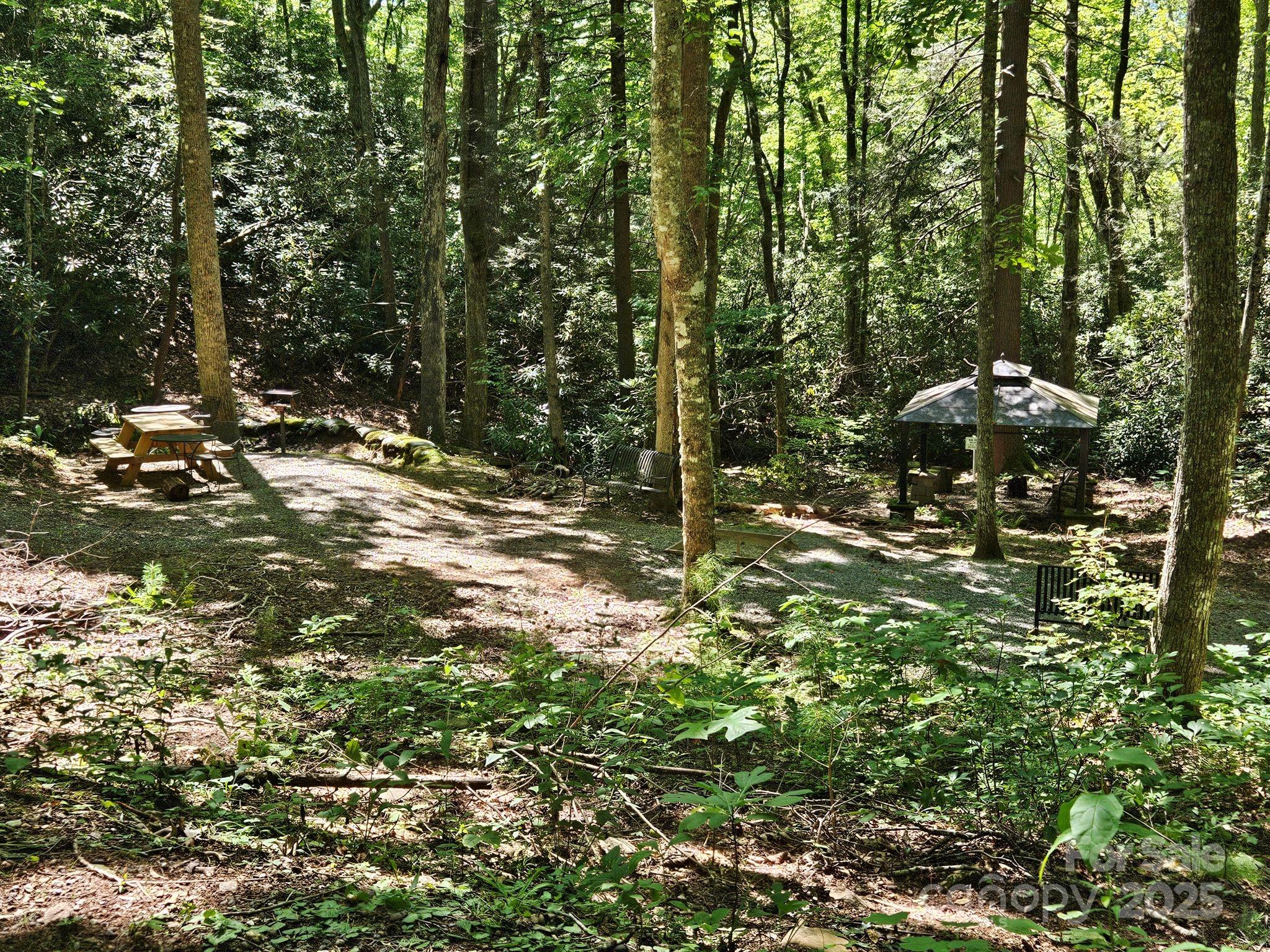 0 Blue Vista Road Canton NC 28716