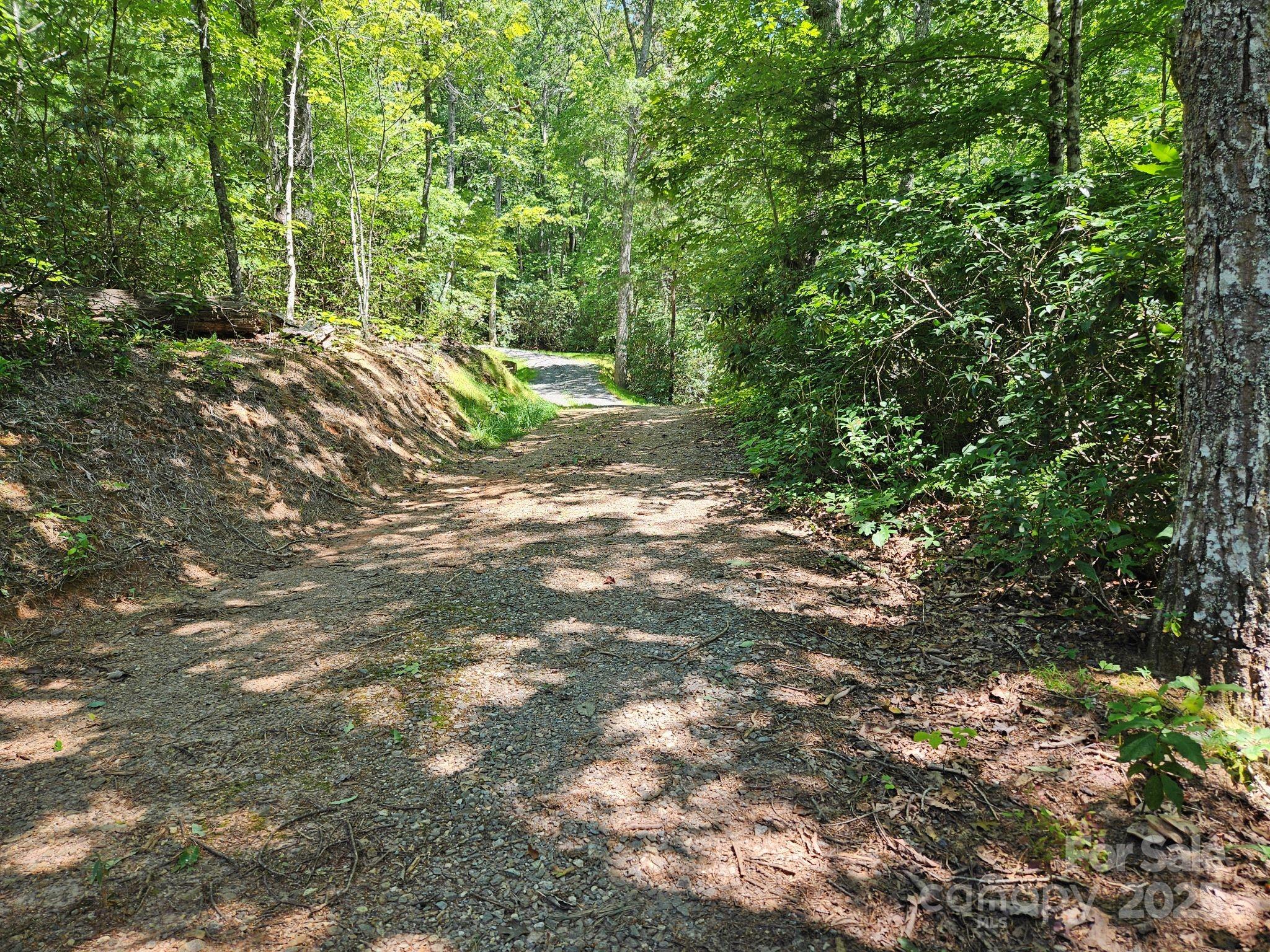 0 Blue Vista Road Canton NC 28716