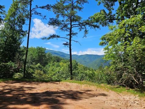 0 Blue Vista Road Canton NC 28716