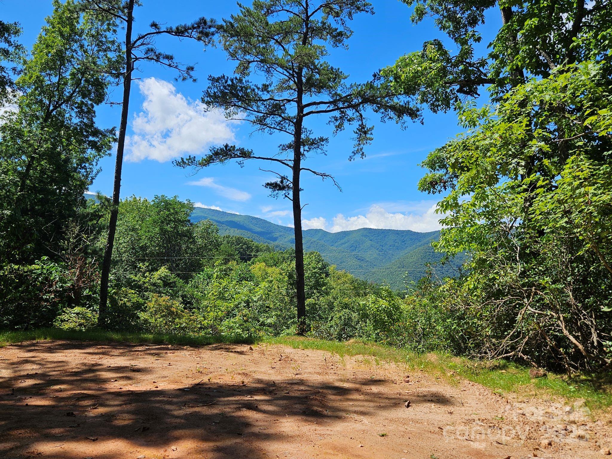 0 Blue Vista Road Canton NC 28716