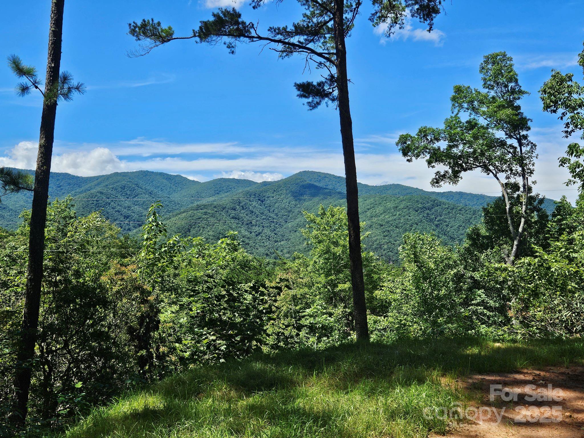 0 Blue Vista Road Canton NC 28716